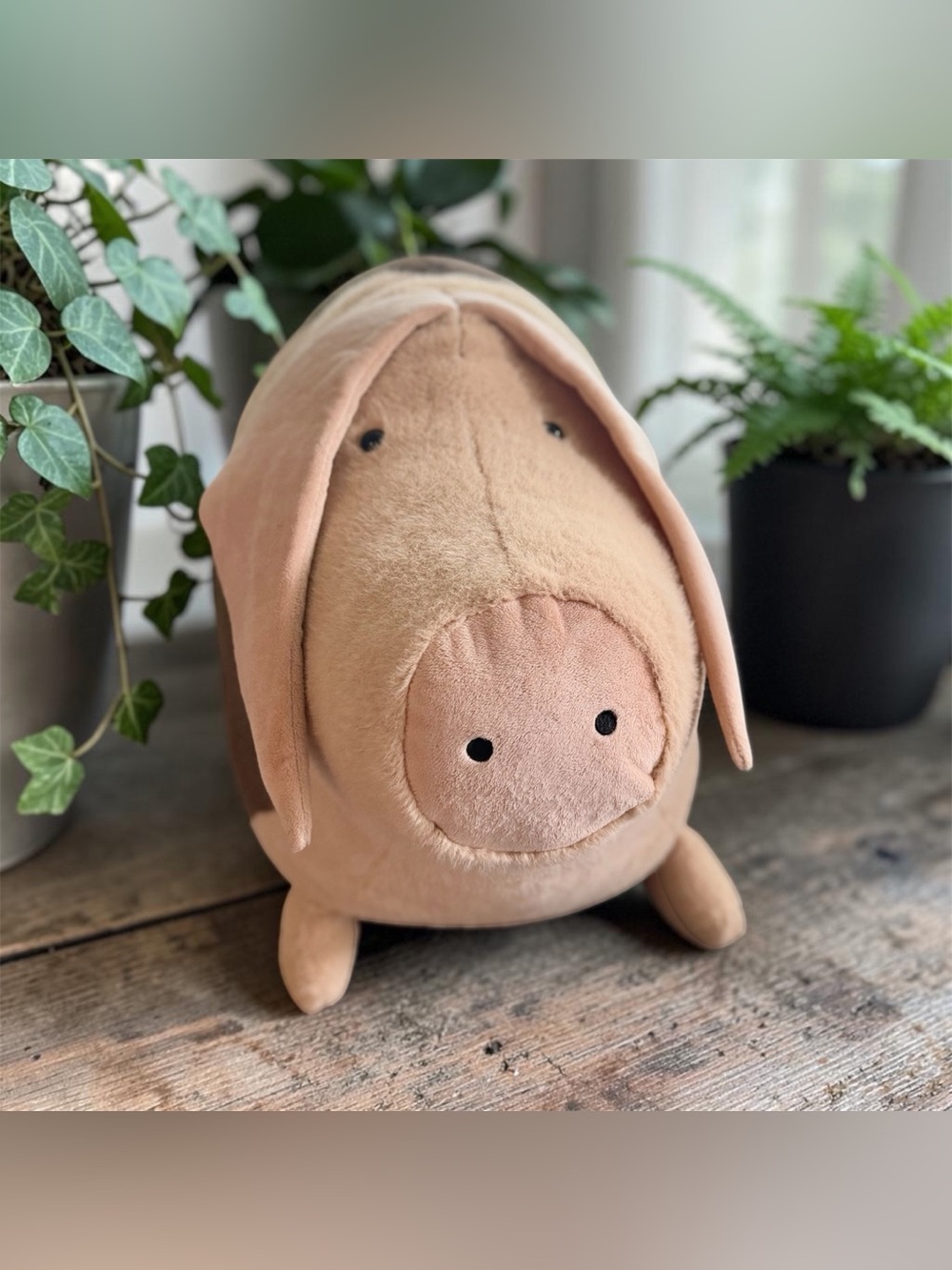 Authentic Jellycat Higgledy Piggledy - Really Big